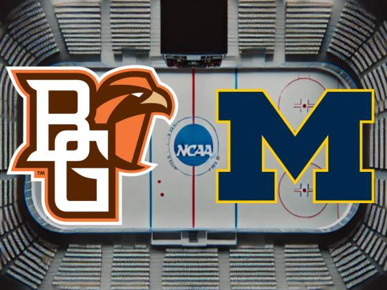 Bowling Green Falcons at Michigan Wolverines Hockey